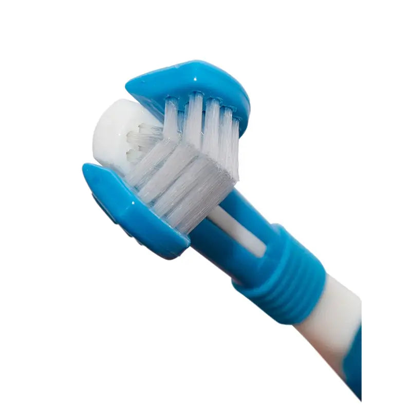 Brosse à dents Stangest Difresh avec étui