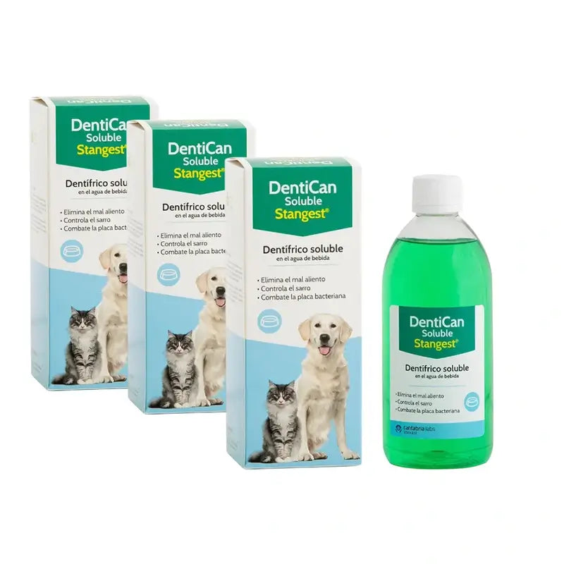 Dentican Stangest Soluble, 3X500 Ml