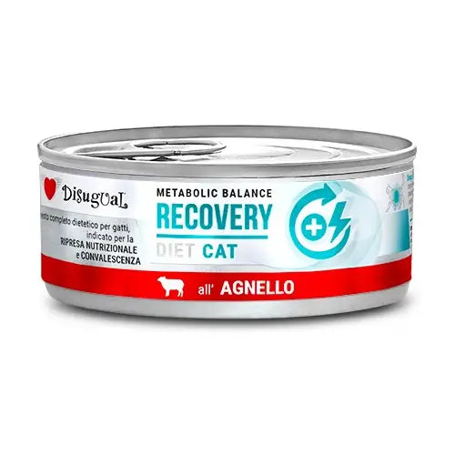 Disugual Diet Cat Recovery Lamb 12X85Gr
