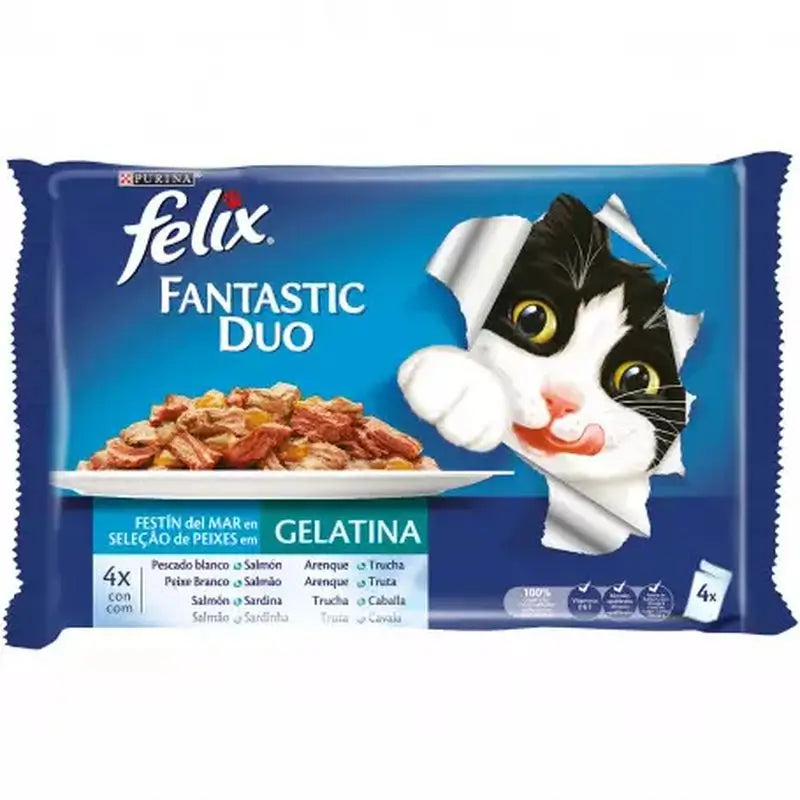 Felix Feline Fantastic Fantastic Duo Delicious Fish 12X4X85Gr