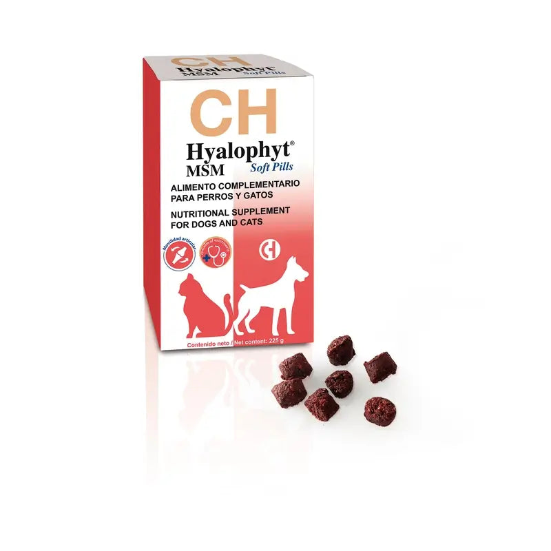 Gélules molles Hyalophyt MSM de Chemical, 225 g