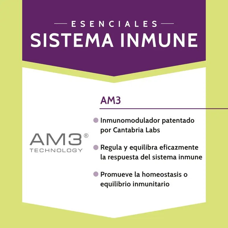 Stangest Inmuhealth 60 Comprimés