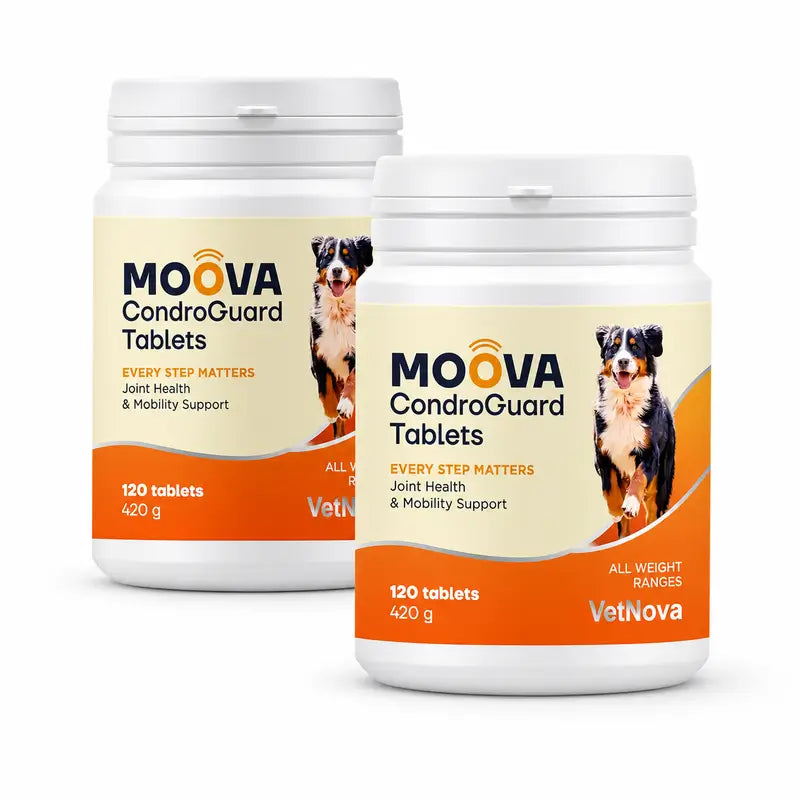 Moova CondroGuard, lot de 2 boîtes de 120 comprimés