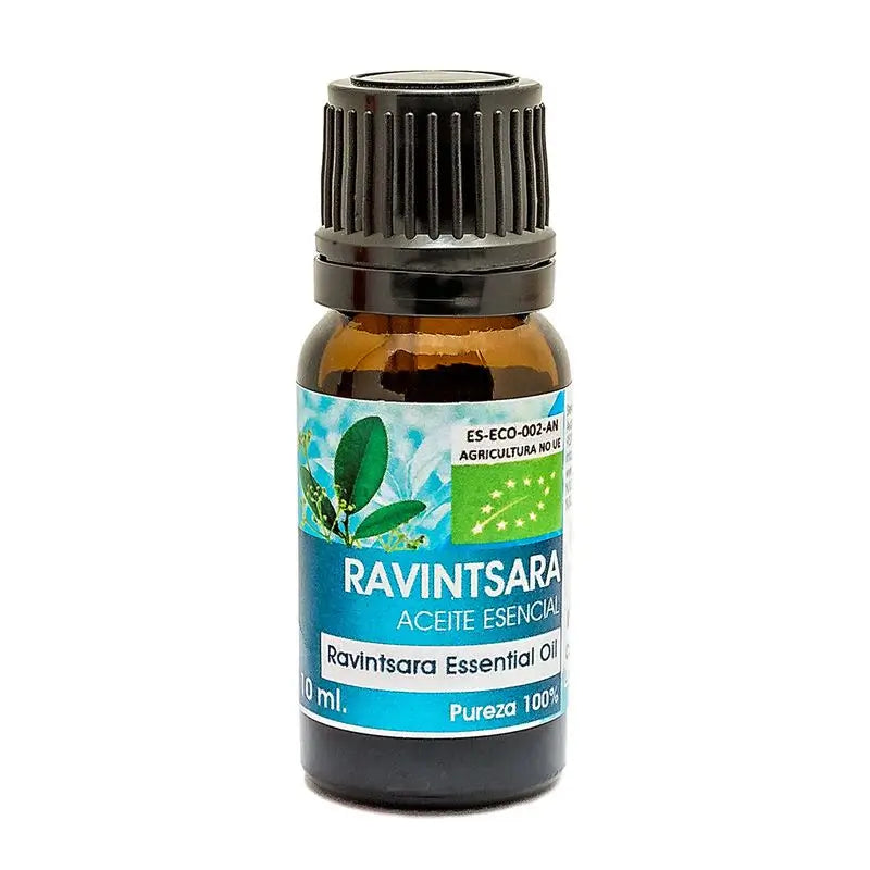 Natura Premium Essential Oil Ravintsara Bio , 10 ml
