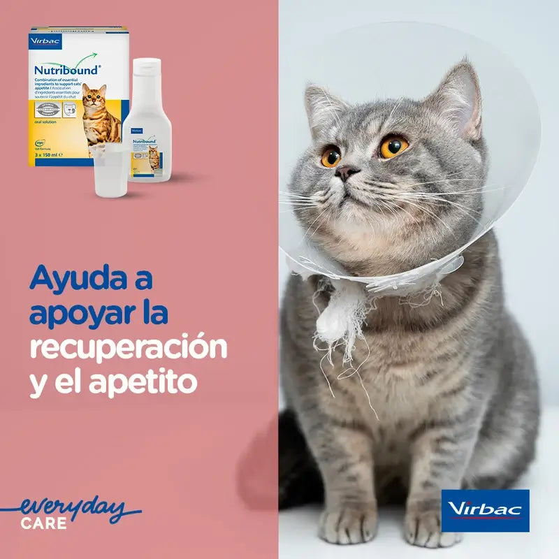 Virbac Nutribound Cats Boîte 3 x 150 ml