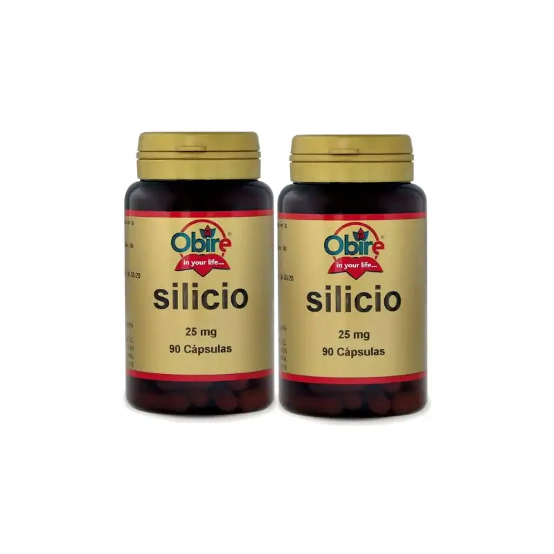 Obire Silicium 25 mg, lot de 2 x 90 gélules