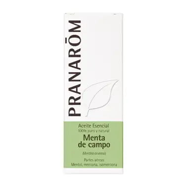 Pranarom Field Mint Essential Oil 10 ml