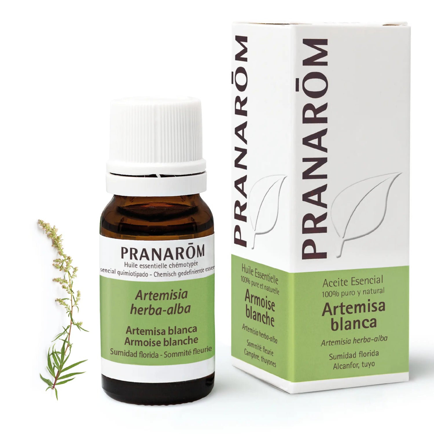 Pranarôm White mugwort 10 ml