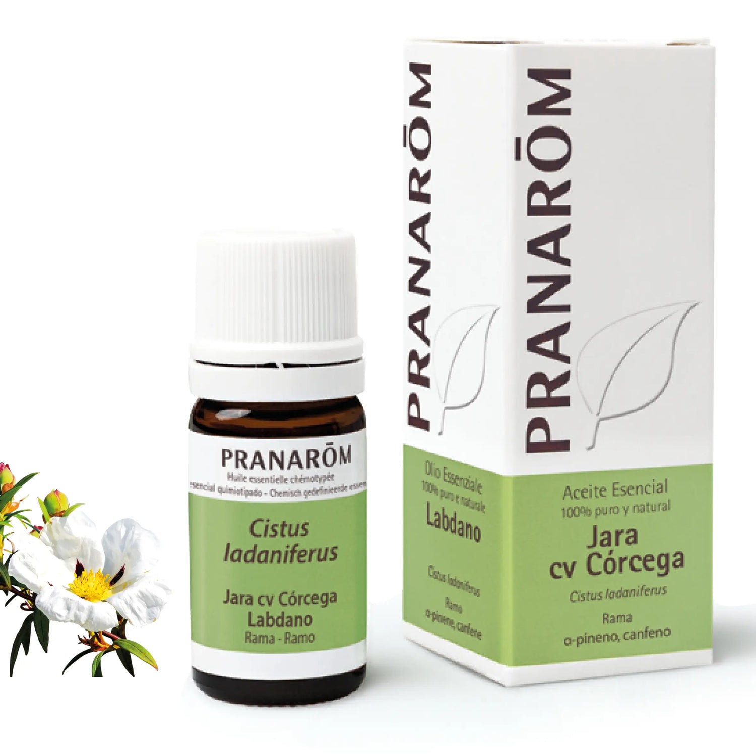Pranarom Essential Oil Rockrose cv Corsica, 5ml