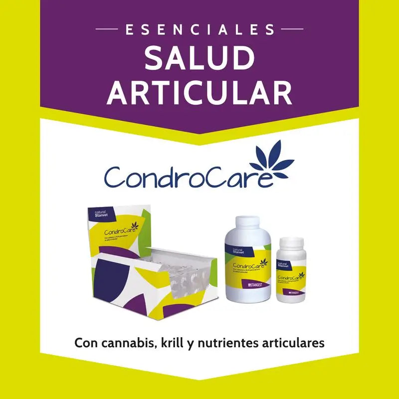 Stangest Chondrocare 30 Comprimés