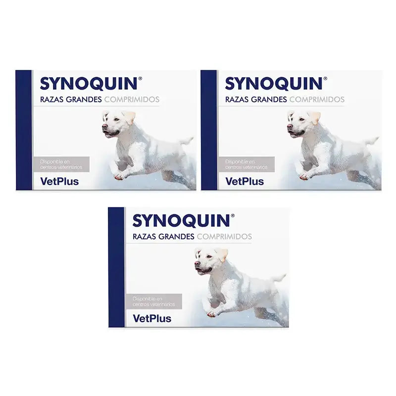 Synoquin Grandes Races, Pack 3 x 120Cpd