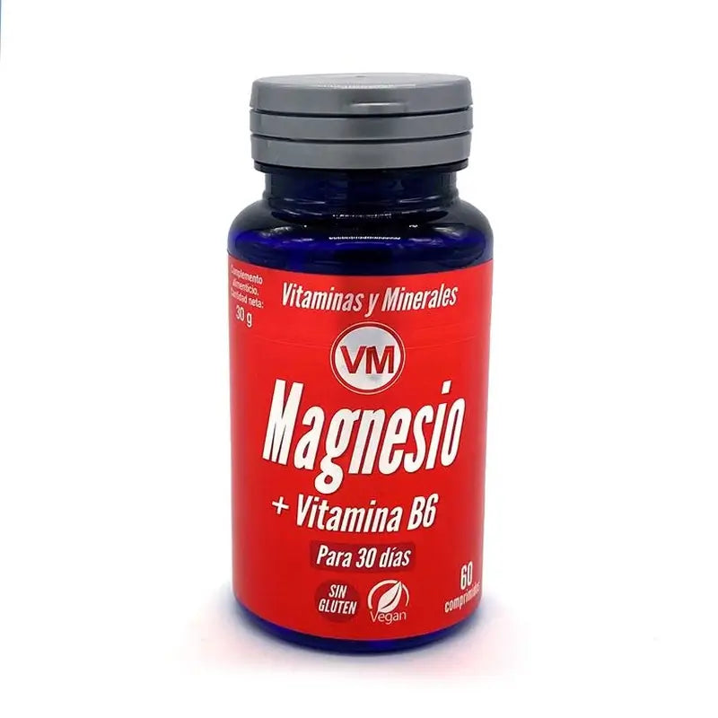 Ynsadiet Magnésium + Vit. B6 60Comp.