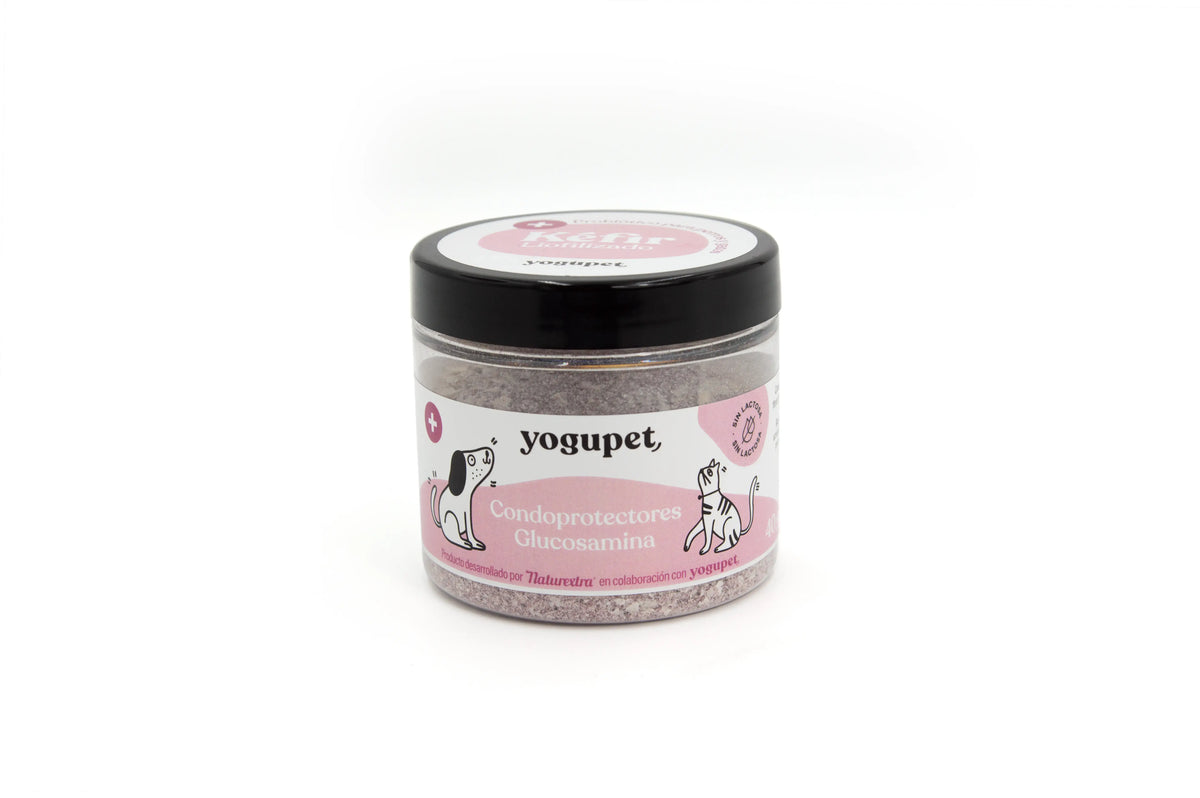 Yogupet Kefir Lyophilisé Condoprotec. Et Glucosamine 40Ml