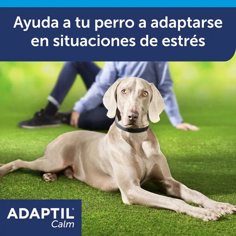 Ceva Collar Adaptil 70 cm Collier anti-stress à phéromones