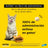 Adtab 48Mg Comprimés à Croquer Chats 2-8Kg, 2 Comprimés