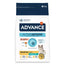 Advance - Croquettes pour chats, au saumon, super premium, 3 kg