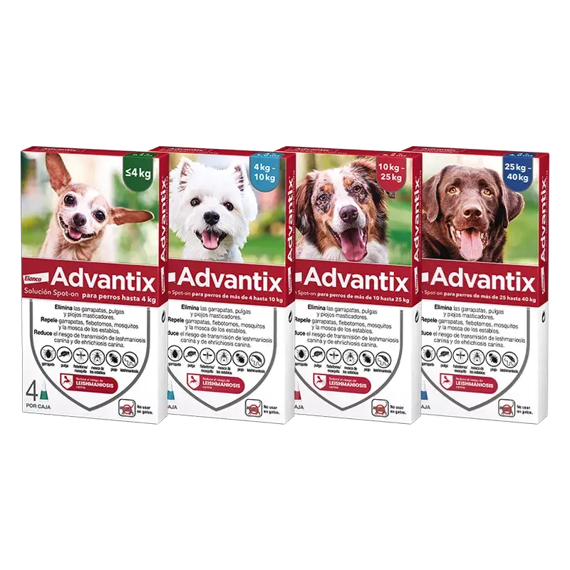 Pipettes antiparasitaires Advantix pour chiens de 4 à 10 kg, 8 unités x 1 ml