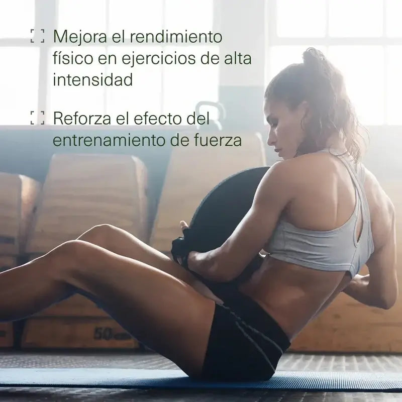 Aldous Bio Creatine Monohydrate , 200 comprimés