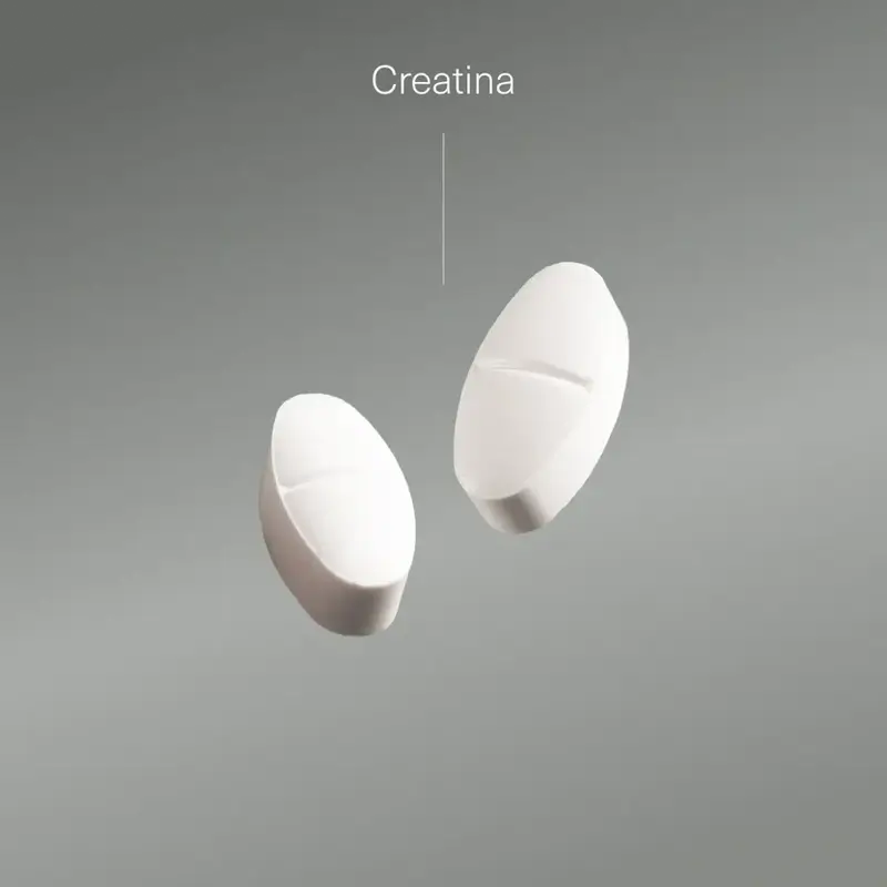 Aldous Bio Creatine Monohydrate , 200 comprimés