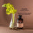 APIVITA Shampooing antipelliculaire sec au céleri et à la propolis 250 ml