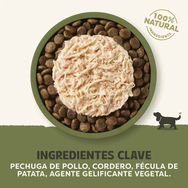 Applaws Dog Topper Tin Chicken & Lamb In Sauce 12X156Gr