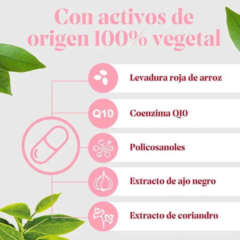 Arkopharma Arkosterol Plus Pack, 60 gélules
