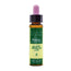 Artesania Aspen Plantis Bach Flowers No. 02 10Ml.