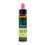 Artesania Cherry Plum Plantis Bach Flowers No. 06 10Ml.