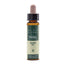 Artesania Elm Plantis Bach Flowers No. 11 10Ml.