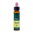 Artesania Gentian Plantis Bach Flowers No. 12 10Ml.