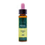 Artesania Oak Plantis Bach Flowers No. 22 10Ml.