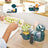 Babymoov Baby Robot Multifonction 6-en-1 Nutribaby(+) Vert Opale