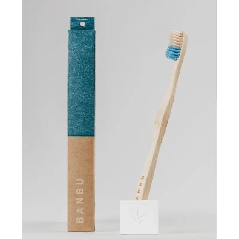 Brosse à dents Banbu adulte bleu moyen