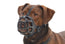 Plastic Buster Muzzle Size 4