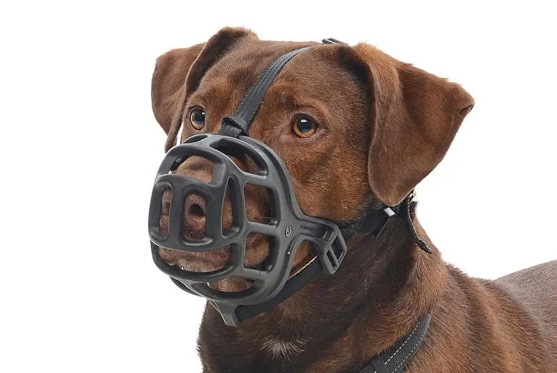 Plastic Buster Muzzle Size 5
