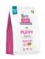 Brit Care Dog Grain Free Junior Grandes Races Saumon 3 kg