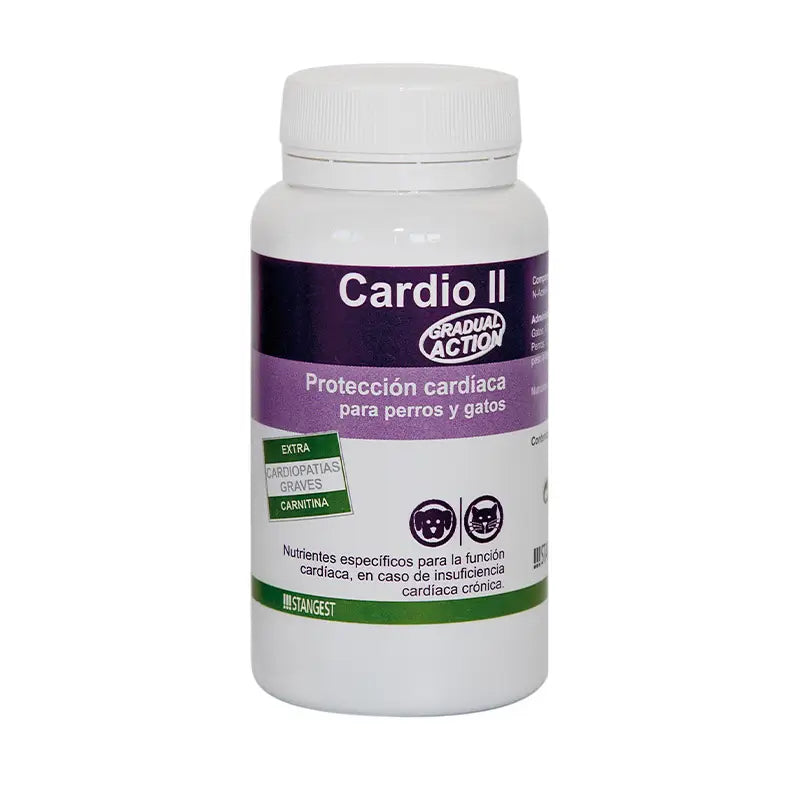Stangest Cardio II Carnitine, 60 Tablets