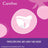 Carefree Plus Large Light Fragrance 36Packs