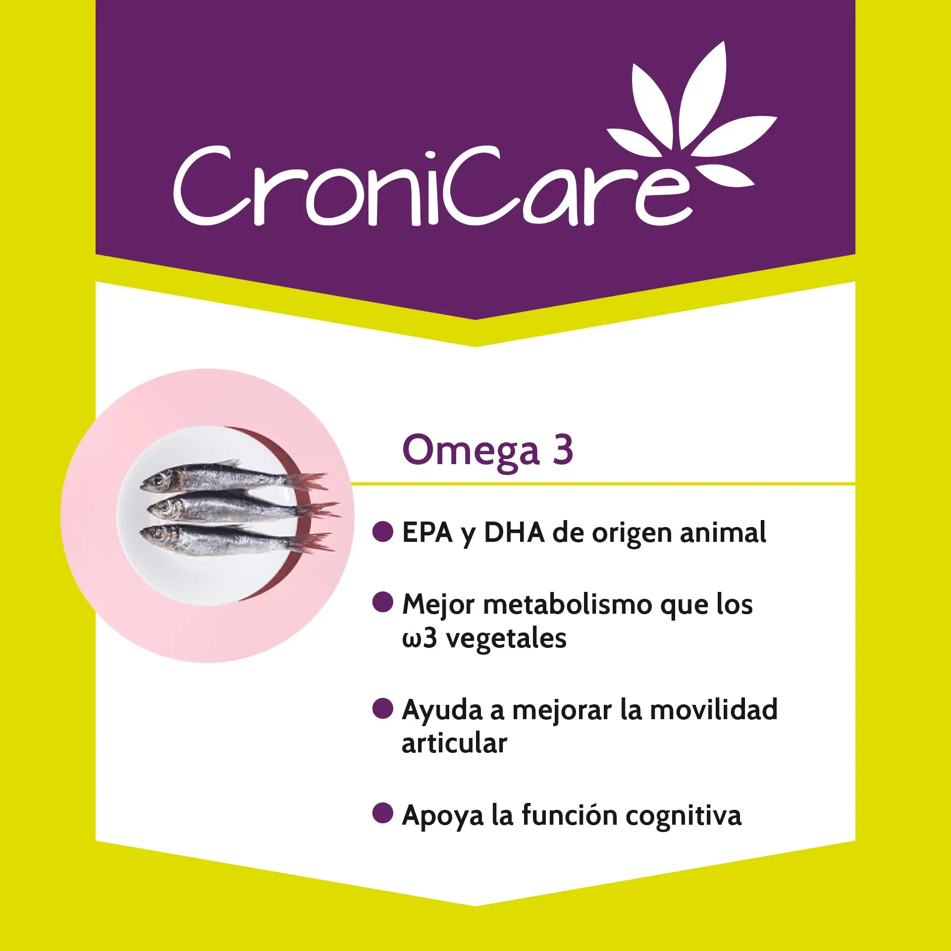 Stangest Cronicare, 60 Comprimés