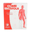 Jewel Plaster Covers Long Leg Cover 1 unit