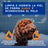 Douxo Skin & Coat Spa 2 In 1 Shampooing et après-shampooing pour chiens, 250 ml