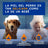 Douxo Skin & Coat Spa 2 In 1 Shampooing et après-shampooing pour chiens, 250 ml