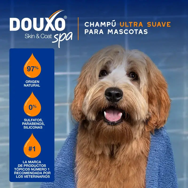 Douxo Skin & Coat Spa 2 In 1 Shampooing et après-shampooing pour chiens, 250 ml
