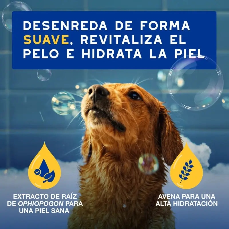 Douxo Skin & Coat Spa Conditionneur à l'avoine pour chiens, 250ml
