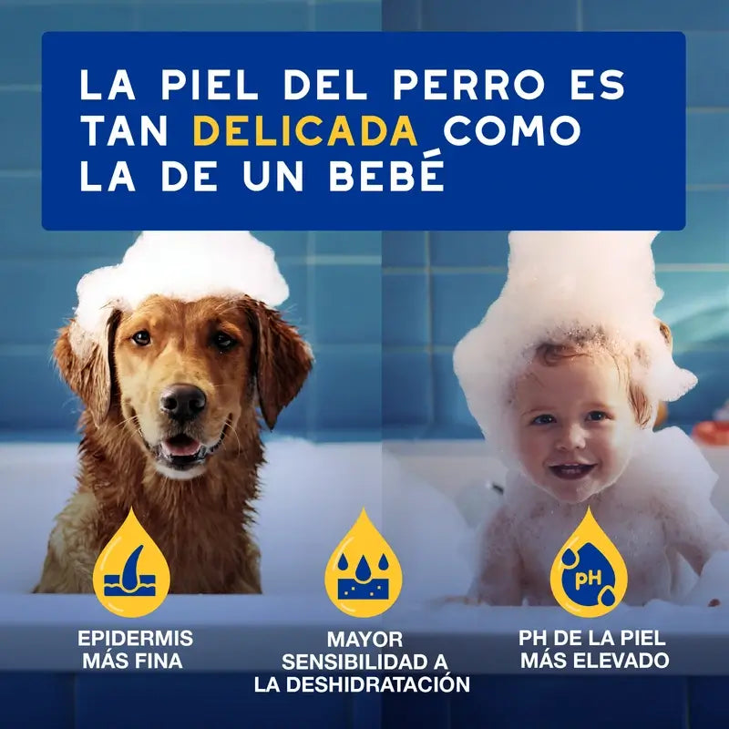 Douxo Skin & Coat Spa Conditionneur à l'avoine pour chiens, 250ml