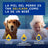 Douxo Skin & Coat Spa Conditionneur à l'avoine pour chiens, 250ml