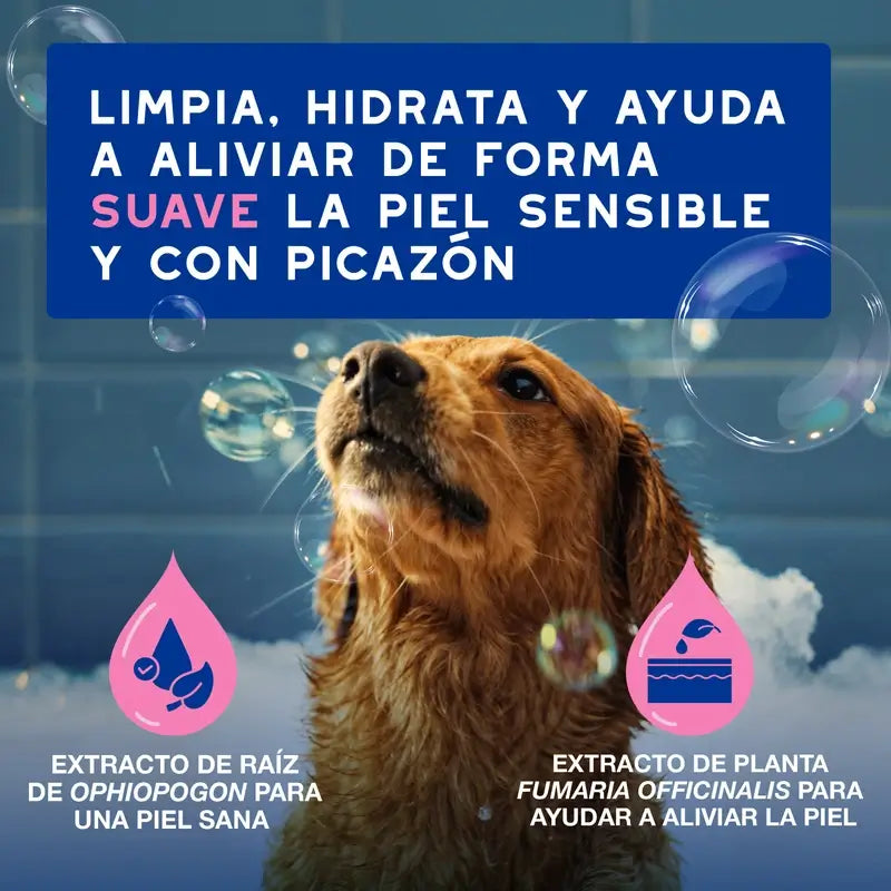 Douxo Skin & Coat Spa Shampooing apaisant pour chiens, 250 ml