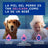 Douxo Skin & Coat Spa Shampooing apaisant pour chiens, 250 ml