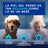 Douxo Skin & Coat Spa Shampooing anti-douleur pour chien, 250 ml