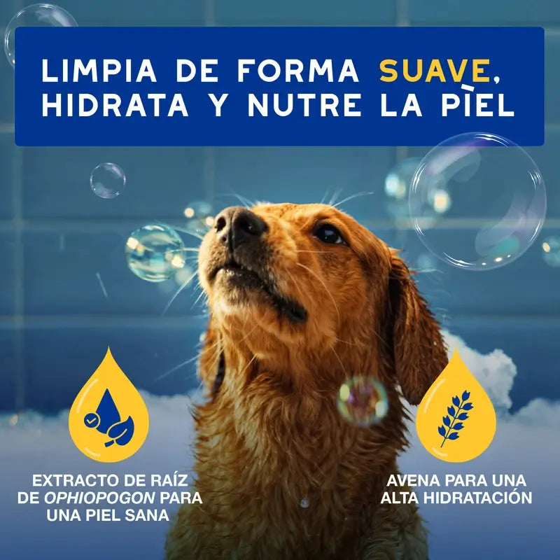 Douxo Skin & Coat Spa Shampooing à l'avoine pour chiens, 250 ml